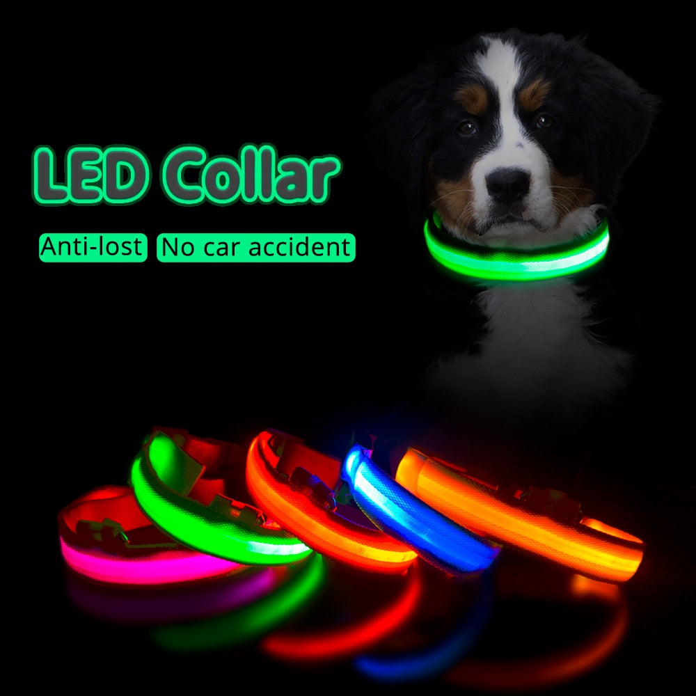 LED Dog Collar (10 Colors)