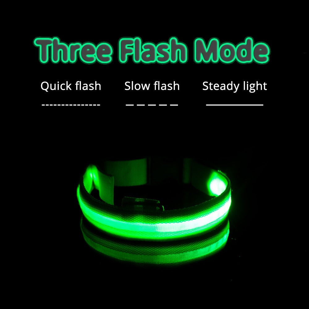 LED Dog Collar (10 Colors)