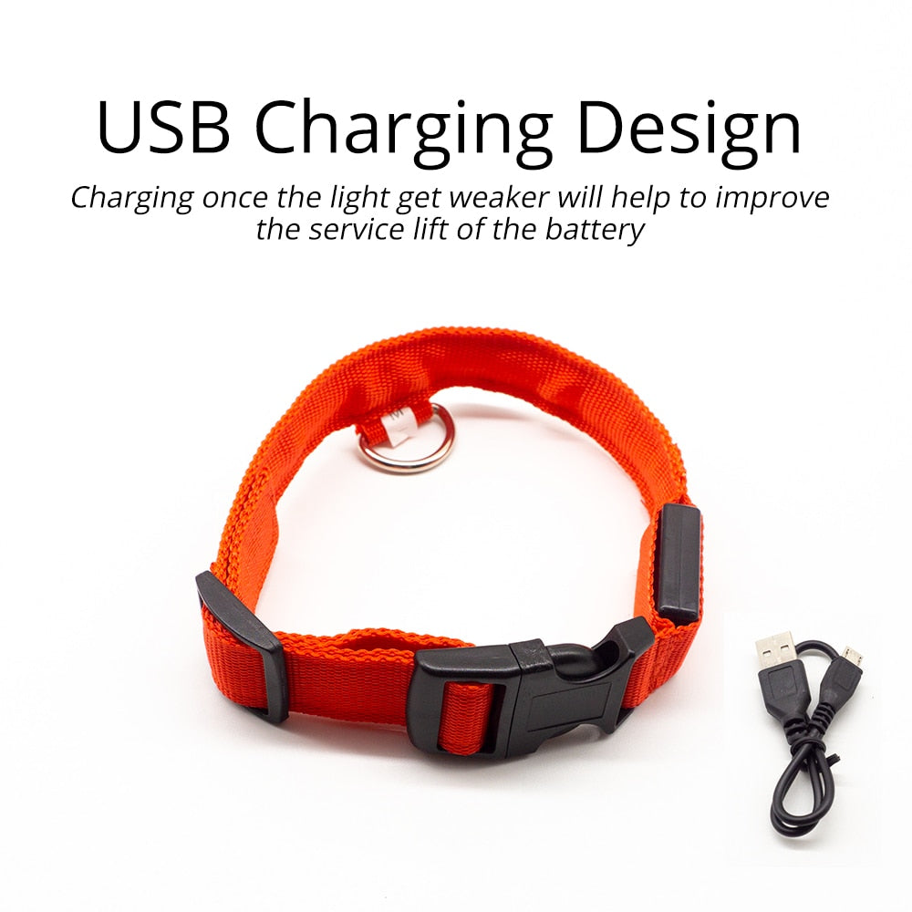LED Dog Collar (10 Colors)