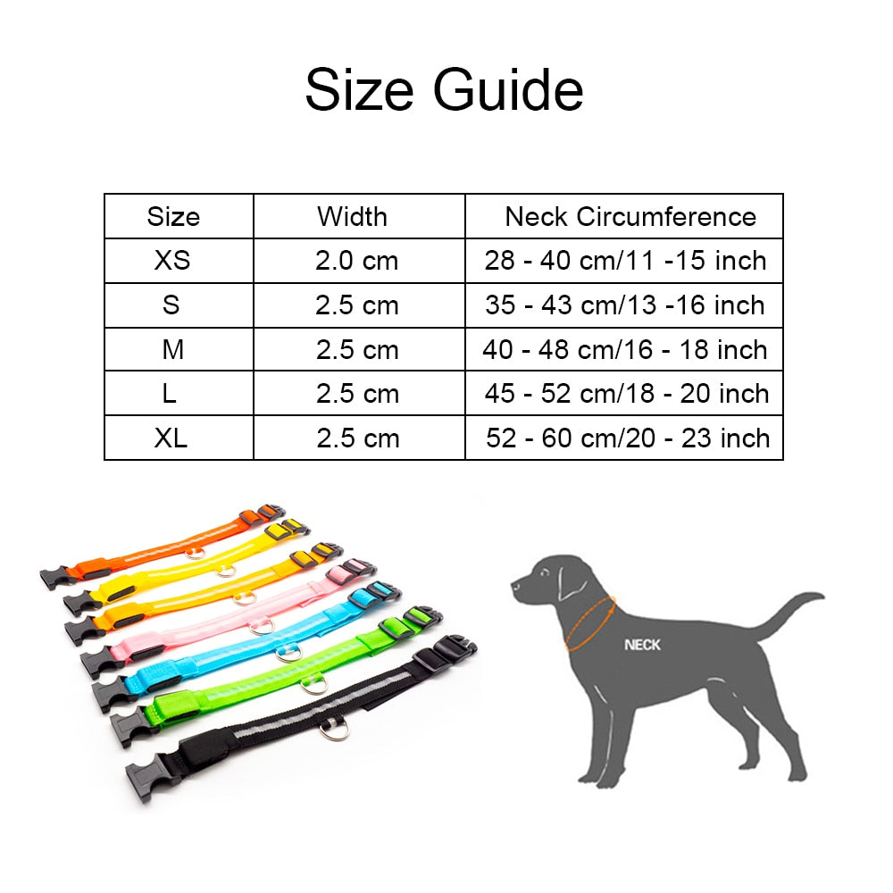 LED Dog Collar (10 Colors)