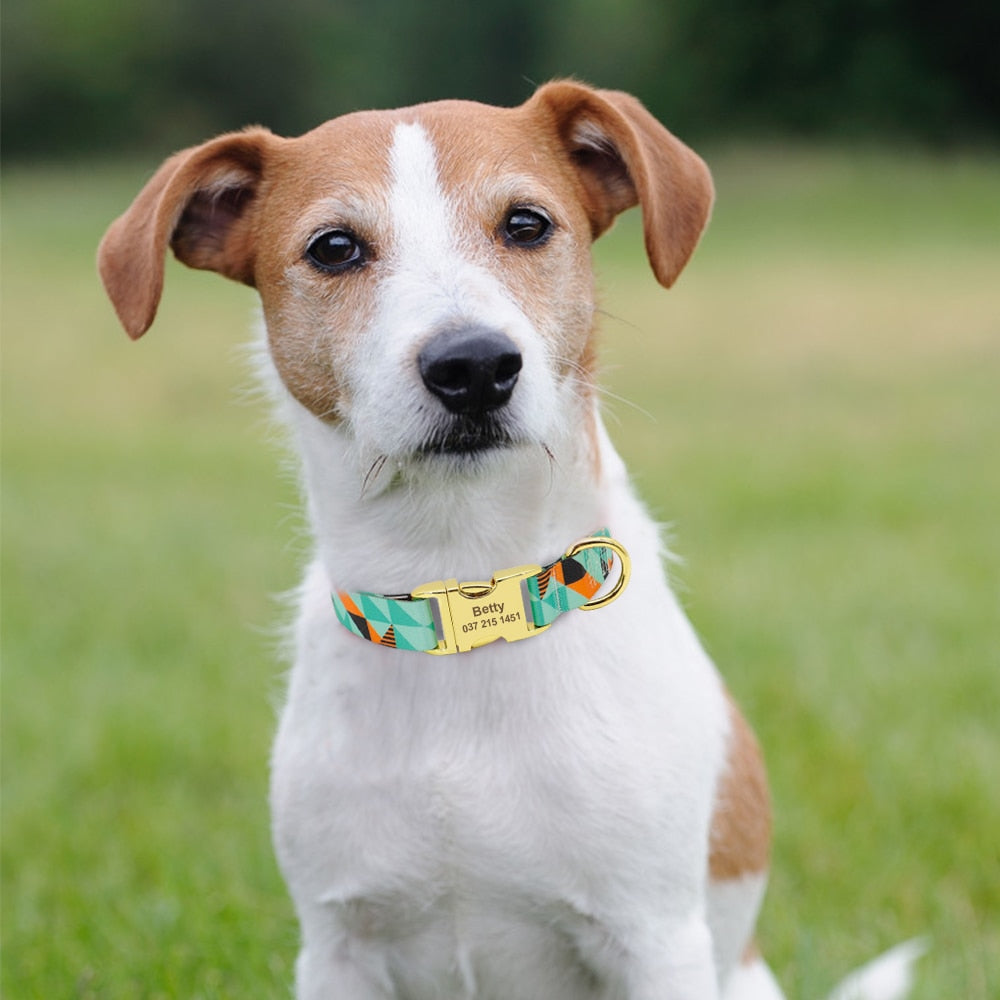 Printed Pet Collar (11 Designs)