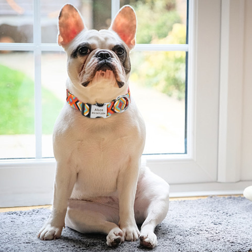 Printed Pet Collar (11 Designs)