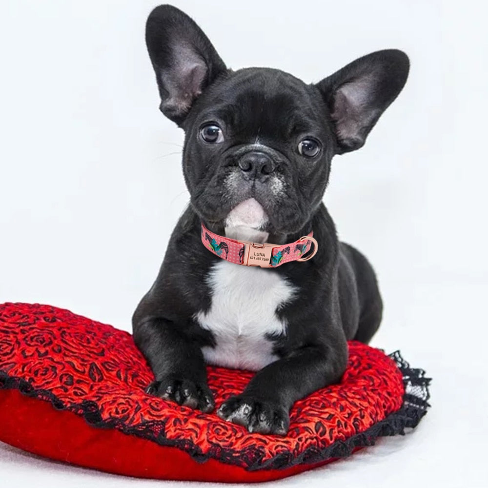 Printed Pet Collar (11 Designs)
