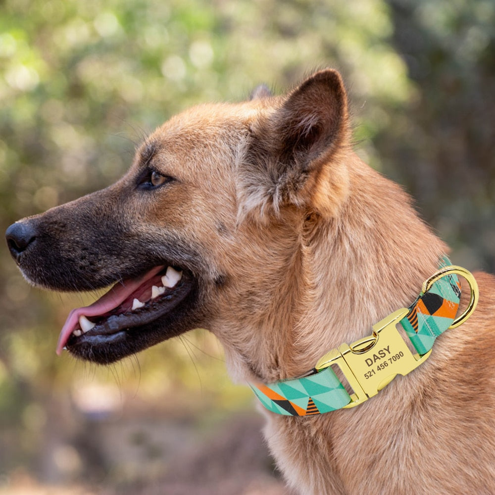 Printed Pet Collar (11 Designs)