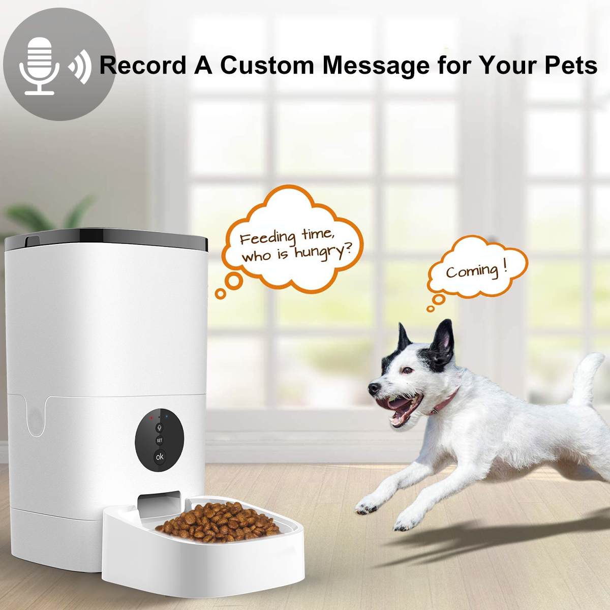 Smart Pet Feeder