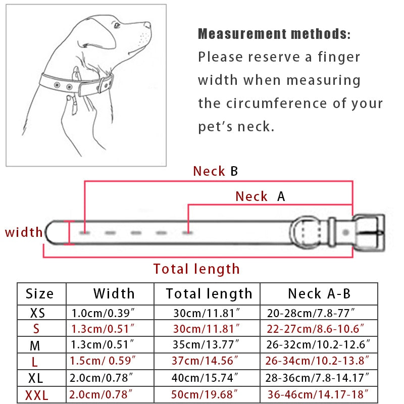 Leather Pet Collar (8 Colors)