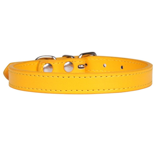 Leather Pet Collar (8 Colors)